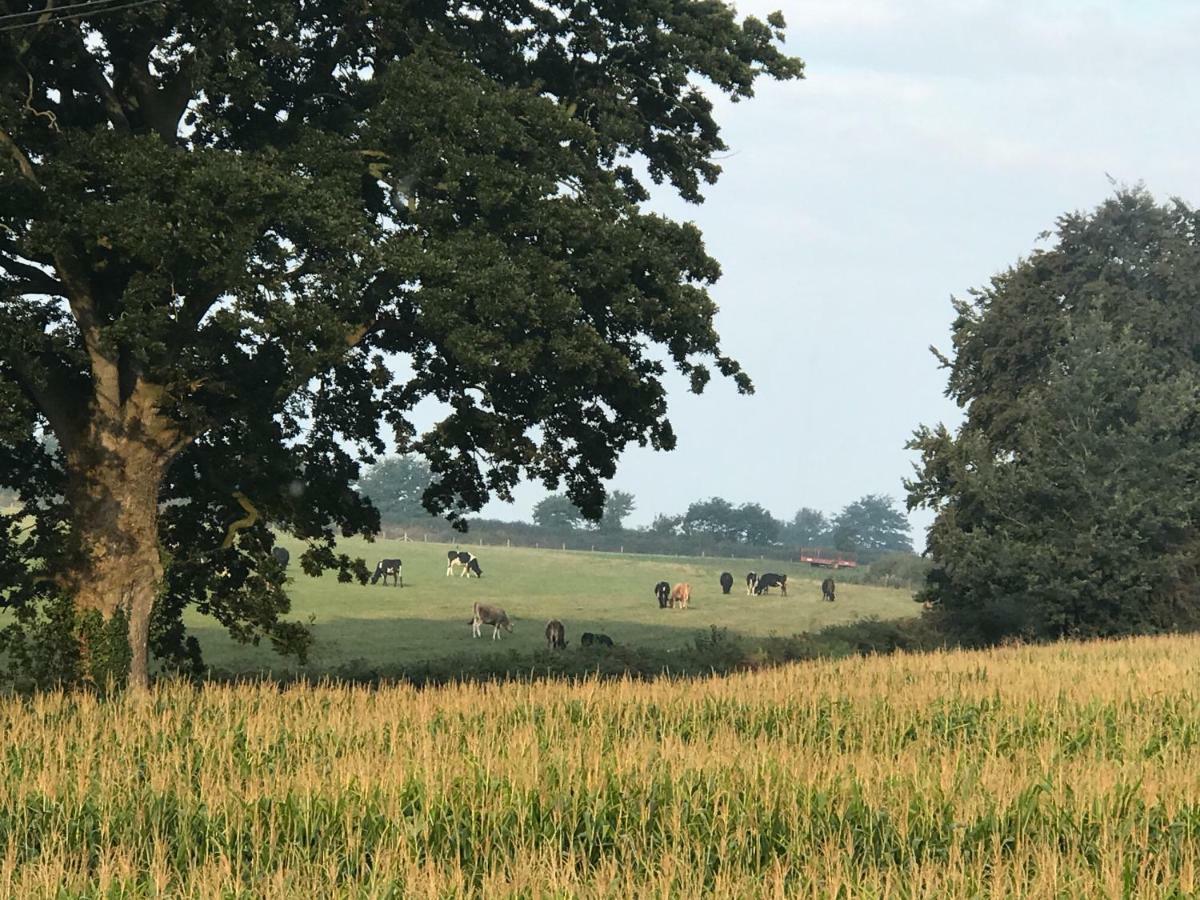 Hunters Lodge Exeter, Free Parking, Country Views, Great Wi-Fi, Large Garden Poltimore Esterno foto